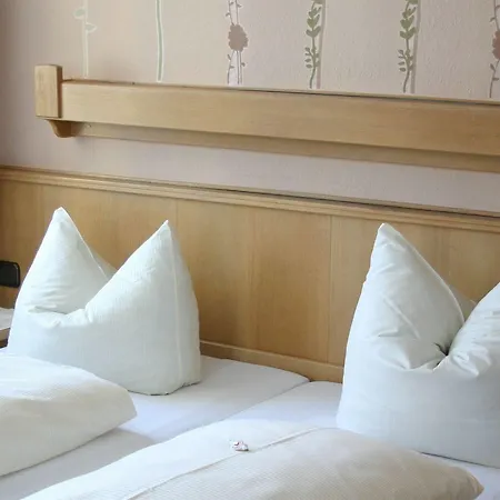 Hotel Rothenburger Hof 2*